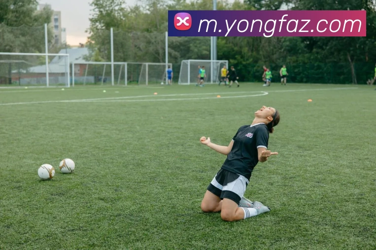 完美体育APP 高清赛事图